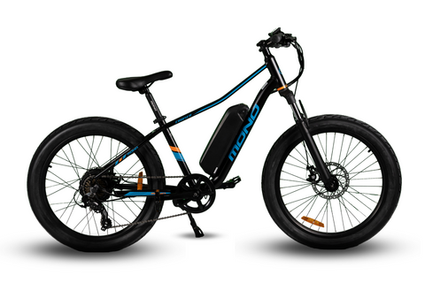 E-Mono JUNO - 48V 24" EMTB 'FAT' CRUISER E-Mono JUNO - 48V 24" EMTB 'FAT' CRUISER