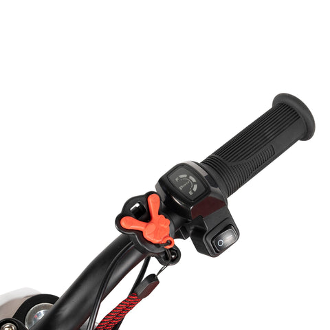 WARRIOR KIDS SX-E250 Electric Bike WARRIOR KIDS SX-E250 Electric Bike