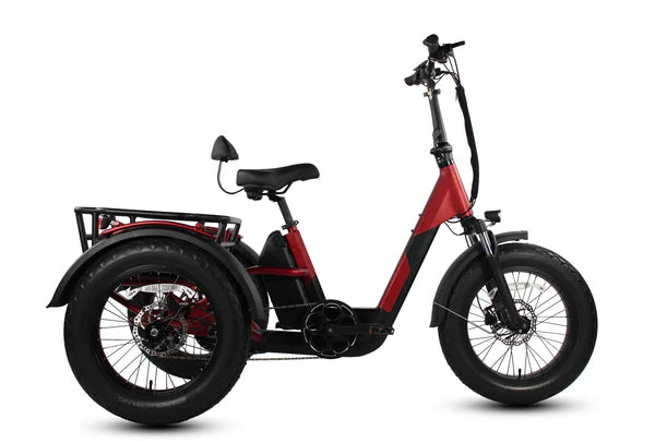 Papa Grande Pro 2025 - 3 Wheel E-Trike