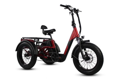 Papa Grande Pro 2025 - 3 Wheel E-Trike Papa Grande Pro 2025 - 3 Wheel E-Trike