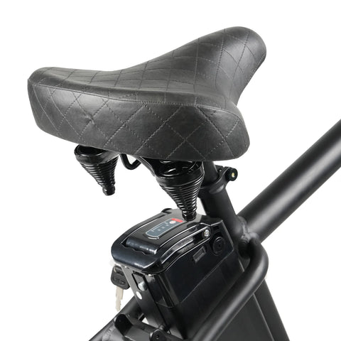 Stubbie-S Original S2 Electric Bike Stubbie-S Original S2 Electric Bike