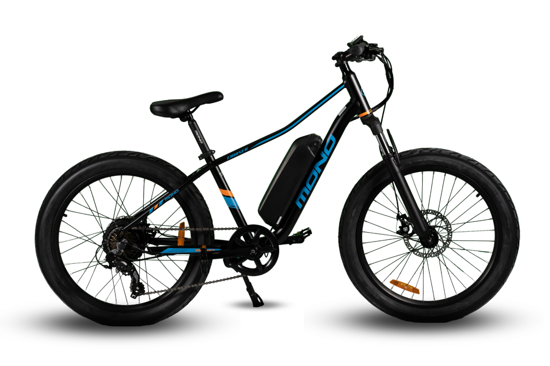 E-Mono JUNO - 48V 24" EMTB 'FAT' CRUISER