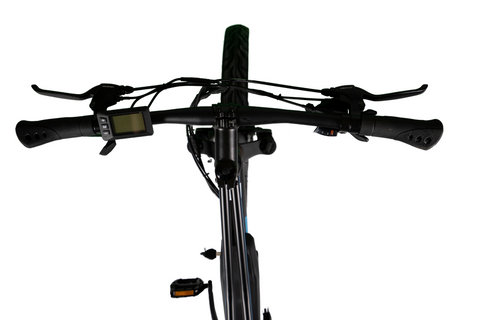 E-Mono JUNO - 48V 24" EMTB 'FAT' CRUISER