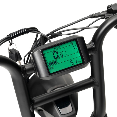 ACE Rally Limited Edition Electric Bike